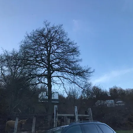 Terrasse De 348 Apartment Malmedy